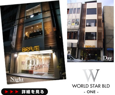 ���[���h�X�^�[�r��������